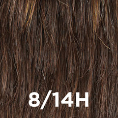 Hidden Illusion III by Aspen - Human Hair Extensions (CHP-06) Aspen